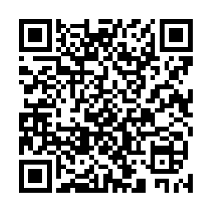 玛利亚婆婆的风湿……巴亚蒂太太快看看能不能给他们用二维码生成