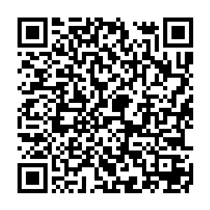 玛萨斯家的奥丁车队的车手们都嗷嗷的在边上当着观众……米露太火辣了二维码生成