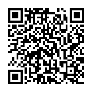 玩家……所以几年过去他在游戏中依旧只是一个普通的玩家二维码生成