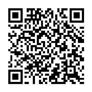 玩家之间还可以在双方自愿的情况下做出一定程度的亲昵举动二维码生成