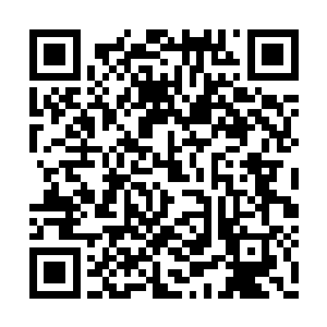 玩家会真的剖心置腹的将自己的心得教训说出来二维码生成