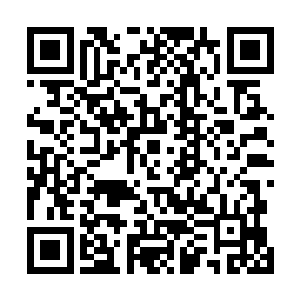 玩家通过特定的仪器将自己的意识导入到这个虚拟世界中二维码生成