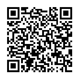 玩的起这狗的出的起四十万的人也没几个会在乎你再加个四十万二维码生成
