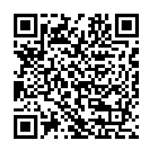 玩着有着辐射的美女……对此高级成员们都没什么兴趣二维码生成