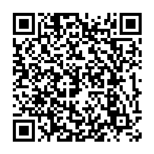 玩空心思将他们能想到能做到的各种可怕药剂武器机关都弄出来了二维码生成