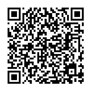玫瑰有信心可以将北区打造成整个苏南市最疯狂最火爆的夜生活集结地二维码生成