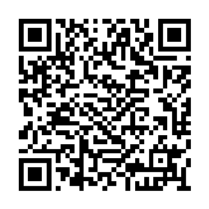 环保局在卢向东升职这件事上便一直保持着沉默二维码生成