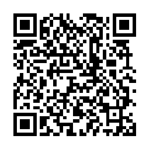 环海水产城的和别的保安公司签订的合同一签就是三年二维码生成