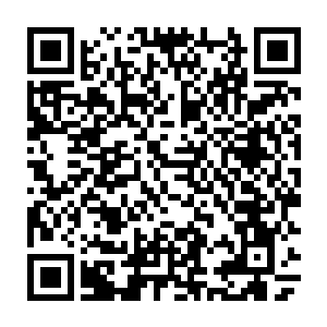 环环相扣的洛家传奇故事便由此而被世界各地的媒体挖角深入地报道了出来二维码生成