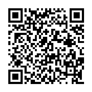 现世里受过教育的还有各种不说人话不干人事的二维码生成