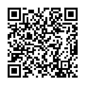 现了三千神界可能诞生了前所未有的越天帝根基真神后二维码生成