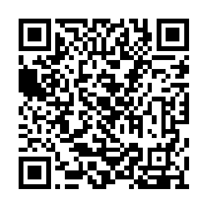 现代化工的农药等等也可能对它造成致命的伤害二维码生成