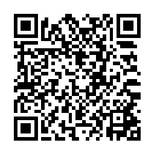 现代社会随便一种细菌都有可能对它造成致命伤害二维码生成