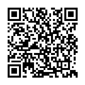 现任部落首领龙日阿兰更是一个自视甚高的将领二维码生成