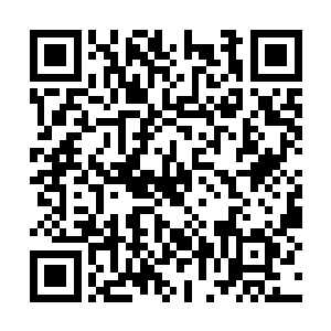 现在……哈哈哈……终于要看到另一种兄弟相杀了二维码生成