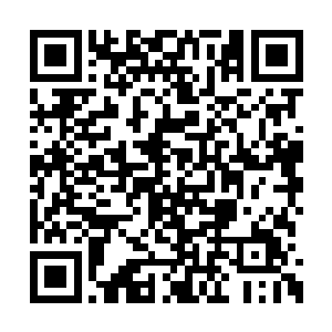 现在……爸爸妈妈把所有的问题摊开在自己面前二维码生成