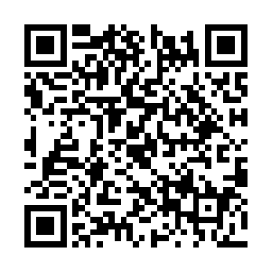 现在一下子听到云瑶的修为一下子达到了如此境界二维码生成