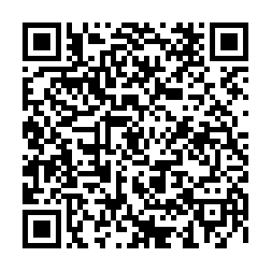 现在一下子多出了一个绝世强者这对于问道宗来说绝对是一个天大的好消息二维码生成