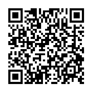 现在三头中级妖兽霸主十分不解为什么雷翅金鹏要离开二维码生成