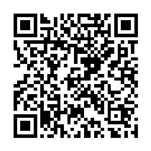 现在上议院就是否对东印度公司战败展开调查进行表决二维码生成