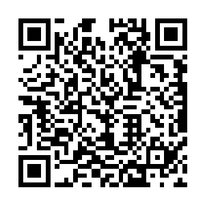 现在下三界几乎已经没有什么地方可以拦得住夏天的去留了二维码生成