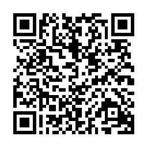 现在不但是部落储存食物的重要时候也是其他野兽抢口粮的时刻二维码生成