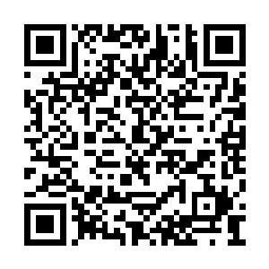 现在不知道有多少人类沦陷进入了这个世界当中二维码生成