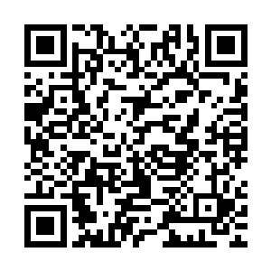 现在世界上也不会遗留下那么多过了几十年还生人勿进的雷区了二维码生成