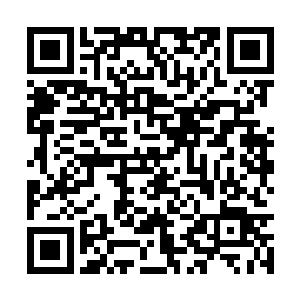 现在二十班后面那几个扛把子不是正准备干刘鹏吗二维码生成