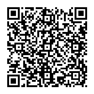 现在二弟又得罪了苏姑娘……我可怜的小竹子……你怎么有这么的爹爹和二舅舅啊二维码生成