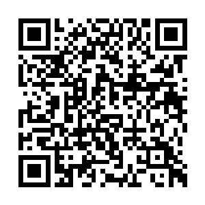 现在五大势力内的修炼塔同时打开了夏天的直播二维码生成