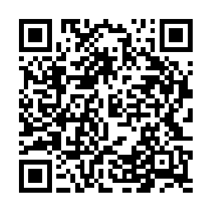 现在他们不但收到了果粉回礼又要被带着去采摘粉果二维码生成