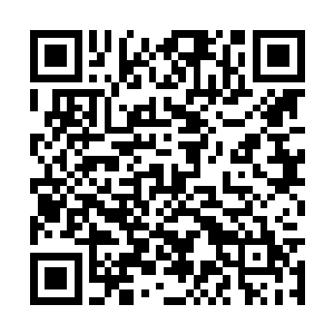 现在他们居然被这些无尽蓝海的妖兽们如此看不起二维码生成