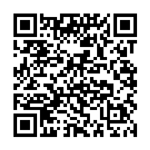 现在他们已经知道了他们添加后门程序的行为被察觉二维码生成