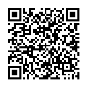 现在他们甚至一个个全都将夏天当成是神明一样看待了二维码生成