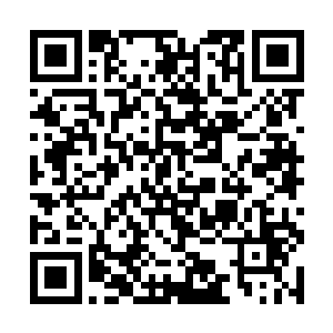 现在他们第八王管辖下的战尊已经是战死了十几位了二维码生成