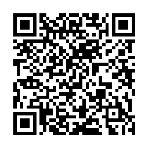 现在他们终于明白刚刚这个首席弟子为什么会发传讯符了二维码生成