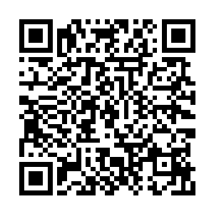 现在他们终于明白夏天为什么能够住高档单间了二维码生成