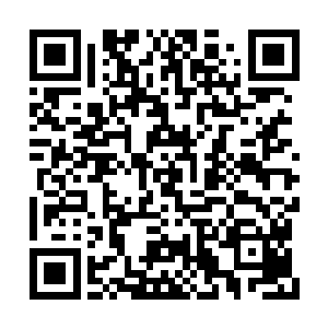 现在他妈的连个酒吧打工的都可以在你面前装逼二维码生成