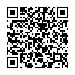 现在他就怕玄黄兽会趁着他酝酿的时间里逃之夭夭二维码生成