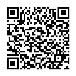 现在他就被这些闻风而来的一众小女生给围在了中间二维码生成