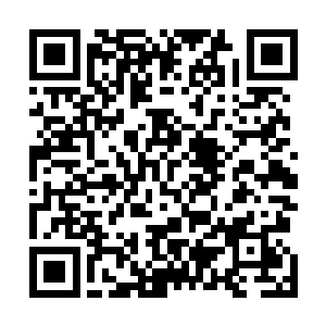 现在他已经确定他家祭司大人简直比老秋实还要丧心病狂二维码生成