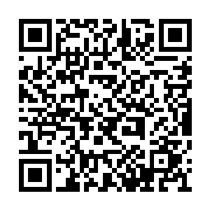 现在他想的是让这些人看到自己最后的希望破灭二维码生成