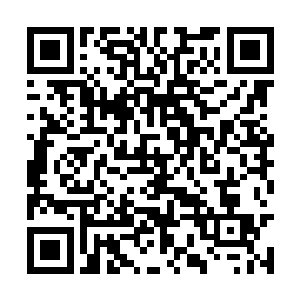 现在他感觉自己显露出来的修为已经足够的惊人了二维码生成