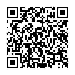 现在他爸爸据说又承包了几座山准备搞药材种植二维码生成