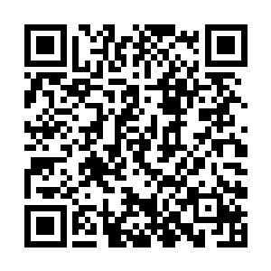 现在他现的只有天地灵气和妖兽的生机可以增强修为二维码生成