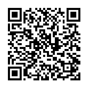 现在他的实力准确来说只有全盛期的五分之一都不到二维码生成