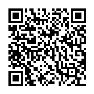 现在他算是意识到了周狼肯定还是有一些隐藏的手段的二维码生成