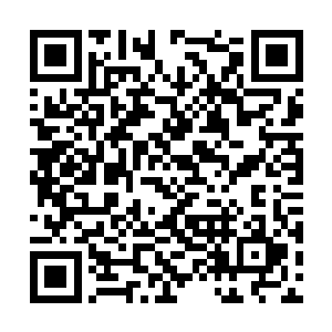 现在他能做的就是用近乎于俯看大半座城市的角度二维码生成