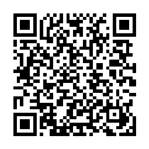 现在你们的学生还质疑我们这一支共和国精英部队的能力二维码生成